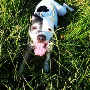 Meet your Posher, Beth